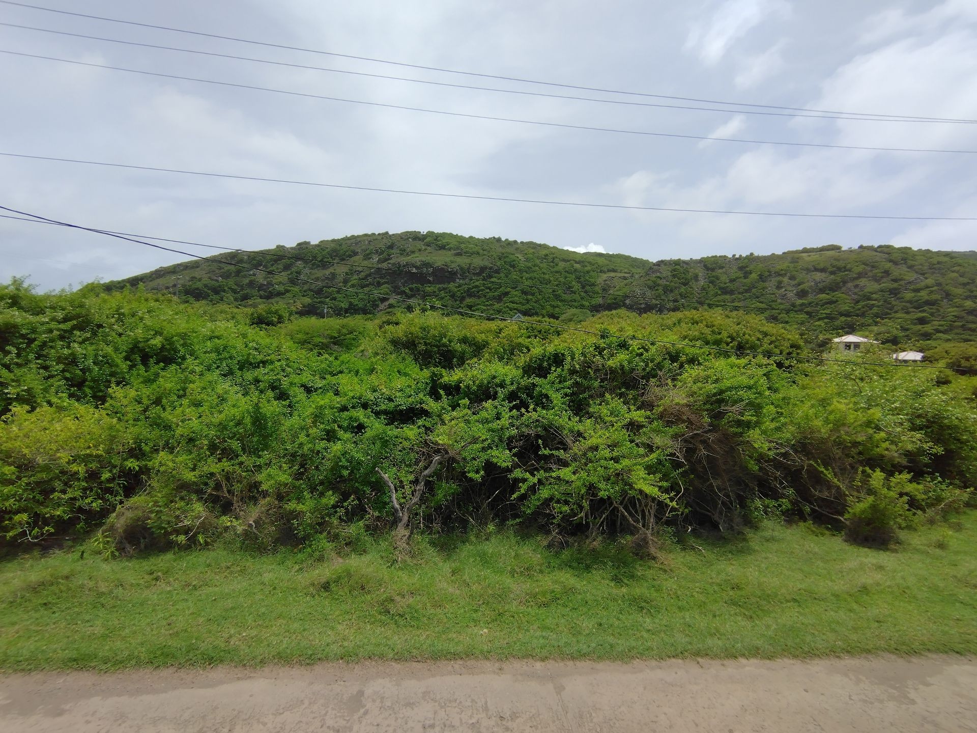 6500m2 undeveloped land
